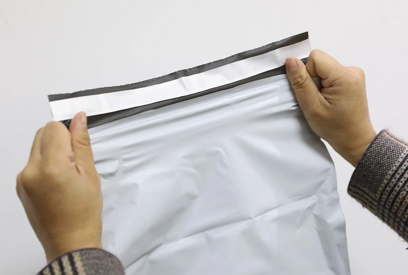 Biodegradable Mailer Bag Shipping Bag/Garment and Clothing Bags